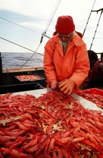Photo courtesy Port Clyde Fresh Catch