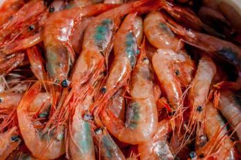 Photo courtesy Port Clyde Fresh Catch