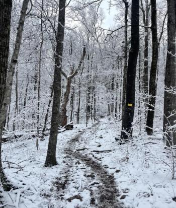 Cameron Mountain Trail. (Photo courtesy Coastal Mountains Land Trust)