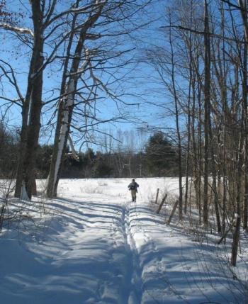 Head of Tide Preserve. (Photo courtesy Coastal Mountains Land Trust)