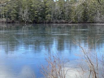 (Photo courtesy Washington Lakes Watershed Association)