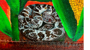 A section of Kristen Eckmann's canvas. (Photo courtesy Rockport Public Library)