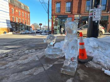 Belfast Ice Festival (photo by Erica Thoms)