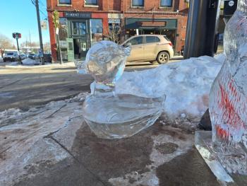 Belfast Ice Festival (photo by Erica Thoms)