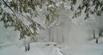 Snow
