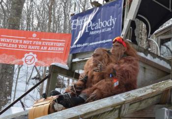 The 34th Annual National Toboggan Championships got off at fast clip Saturday, Feb. 1, 2025. (Photo by Lynda Clancy) (Photo by Lynda Clancy)