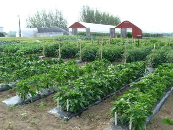 Highmoor Farm by David Handley. (Highmoor Farm courtesy University of Maine Cooperative Extension)