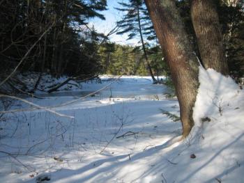 McLellan Poor Preserve. (Photo courtesy Coastal Mountains Land Trust)