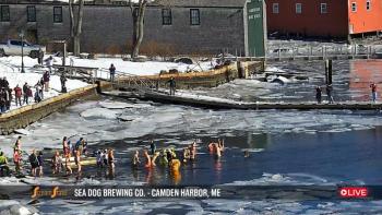 SeaDog Camden Harbor Activity Cam capturing the Polar Plunge. Photo courtesy StreamState SeaDog Camden Harbor Activity Cam capturing the Polar Plunge. Photo courtesy StreamState