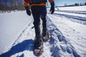snowshoe metro