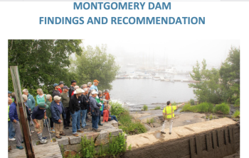 dam report