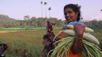 Kudumbashree farmer Sindhu Kumar returns home from harvesting organic produce for lunch and the market. (Photo courtesy Jim Merkel)
Sindhu harvest