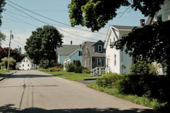 Street Tree Program. (Photo courtesy David Troup)