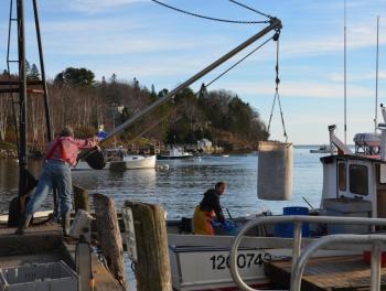 rockport harbor 2013