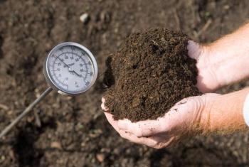 (Photo courtesy University of Maine Cooperative Extension / Edwin Remsberg)
