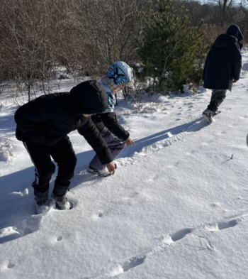 Learning about wildlife tracks during South School's outdoor learning program. (Photo courtesy RSU 13 South School) Learning about wildlife tracks.