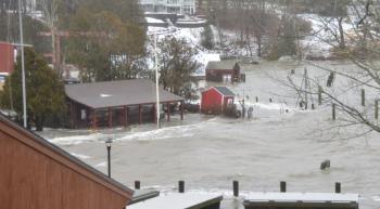 Rockport Harbor, Jan. 10, 2024 (photo by Lynda Clancy)