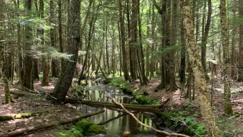 Appleton Preserve. (Photo courtesy Coastal Mountains)