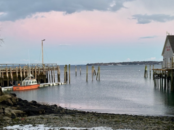 Winter harbor (Photo courtesy Carolyn Kanicki) 2