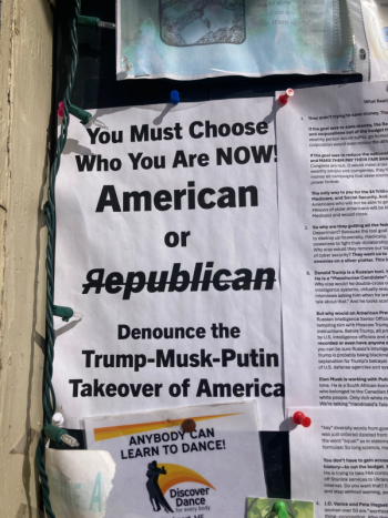 (Image courtesy Molly Mulhern)