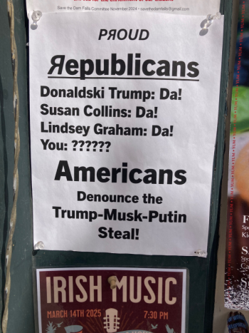 (Image courtesy Molly Mulhern)