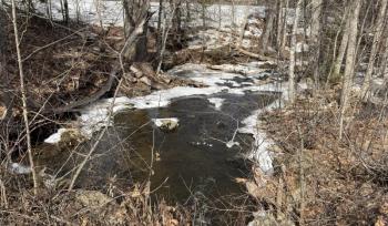 Frohock Brook