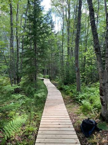 Rockland Bog Trail. (Photo by Georges River Land Trust)
