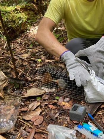 Eric Brown checks out a recently-acquired squirrel. (Photo courtesy Merryspring Nature Center)