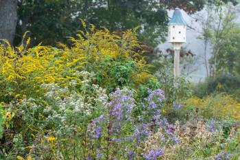Resilient perennials support wildlife and pollinators while adding beauty to your garden. (Photo courtesy University of Maine Cooperative Extension/Edwin Remsberg)