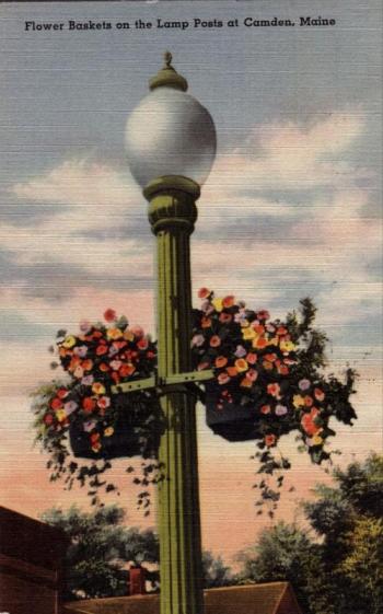 Lamppost Baskets-Circa 1925-Compliments of the Camden Garden Club. (Photo courtesy Camden Garden Club)