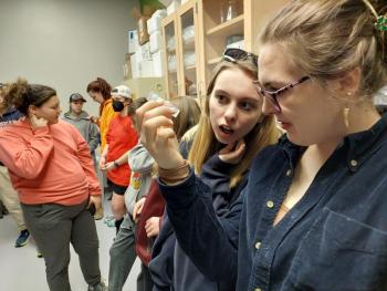 Mariah J. from Franklin County and Hannah J. from Cumberland County take a closer look at specimens from UMaine Extension’s Diagnostic Research Laboratory, a highlight of the annual 4-H Agricultural Symposium. (Photo courtesy University of Maine Cooperative Extension)