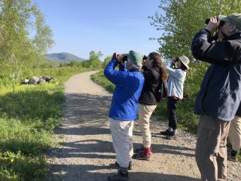 Ann Boover leads a bird walk at Beech Hill. (Photo courtesy Friends of Maine Coastal Islands National Wildlife Refuge)