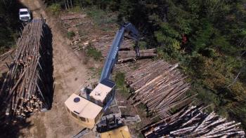 cut timber being loaded onto a flatbed.