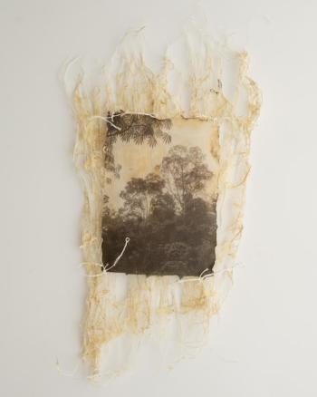Deep Awareness by Karen Olson, Pigment print on Hanji paper, Himalayan Balsam lace paper, beeswax, linen cord, 14 x 4 x 1”. (Photo courtesy Local Color Gallery)