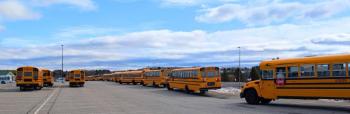 School buses. (Photo by Elias Twitchell)