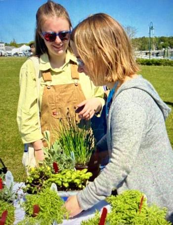 (Photo courtesy Belfast Garden Club)