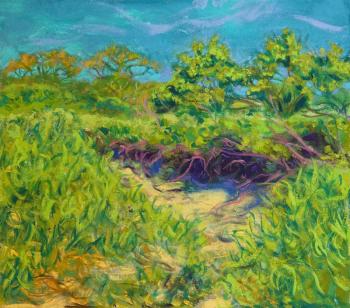 Holden Willard, Erosion Path (Kettle Cove), oil on canvas, 14x16" (Image courtesy Page Gallery)