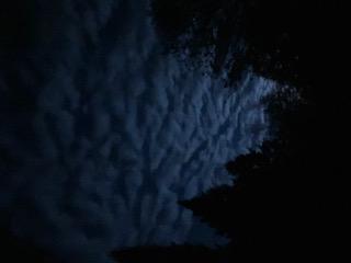 Just before the sunrise (Photo courtesy Susan Kanellakis) s