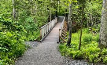 Fort Point Trail. (Photo courtesy Georges River Land Trust)
