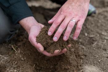 (Photo courtesy University of Maine Cooperative Extension / Edwin Remsberg)