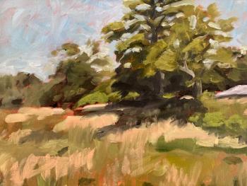 "Summer Field" oil on panel by Jeff Shula. (Photo courtesy Belfast Free Library)