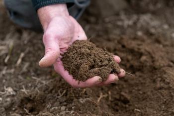 (Photo courtesy University of Maine Cooperative Extension / Edwin Remsberg)