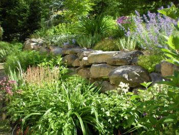 33 Londonderry Lane. (Photo courtesy Belfast Garden Club)