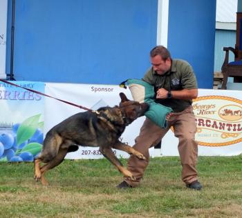 Marek subdues Deputy Allen during a demonstration in 2022. (Photo by Chris Wolf)