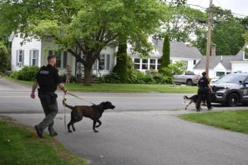 These K9s stretched their legs prior to the 11 a.m. start time. (Photo by Sarah Thompson)