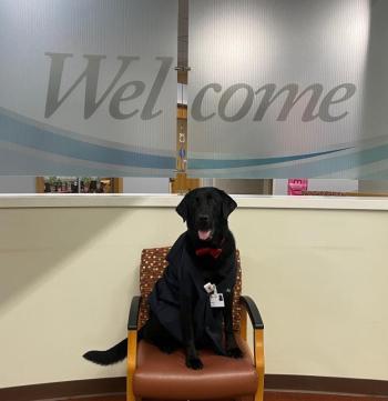 Meet Mango, MaineHealth Pen Bay hospital’s newest therapy dog. (Photo courtesy MaineHealth)