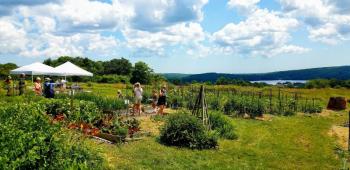 (Photo courtesy Brae Maple Farm)
