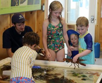 Visitors to the Beachcombers’ Discovery Center explore the touch tank. (Photo courtesy Kris Christine)