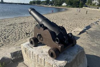 Cannon