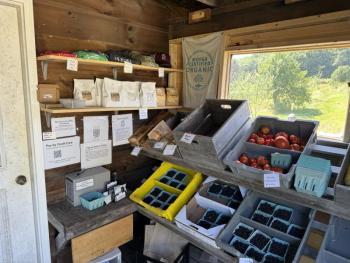 3 Bug Farm